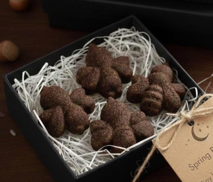 Seasonal Bee Seed Bomb Collection - Four Seasons, Sixteen Bees